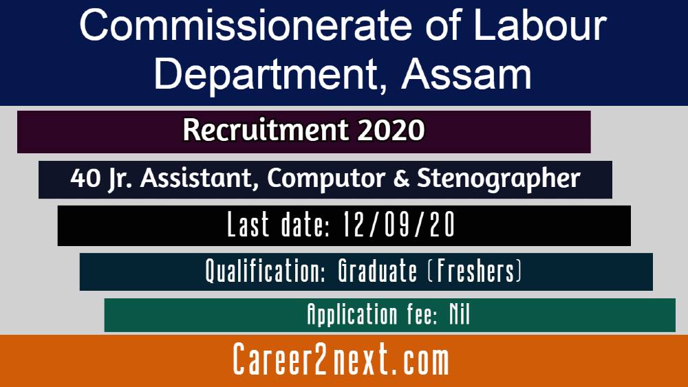 Commissionerate of Labour 女仆乖乖脱内衣内裤打屁股 2020 for 40 Jr. Assistant & other posts
