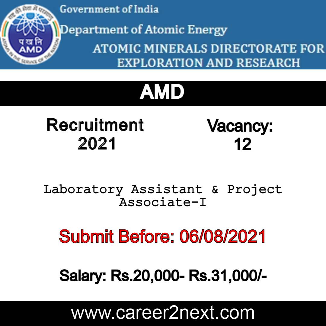 AMD 在线h视频 2021 Image