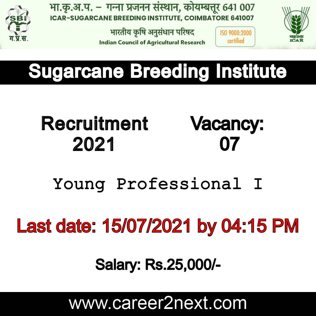 Sugarcane Breeding Institute 国产尤物av尤物在线看