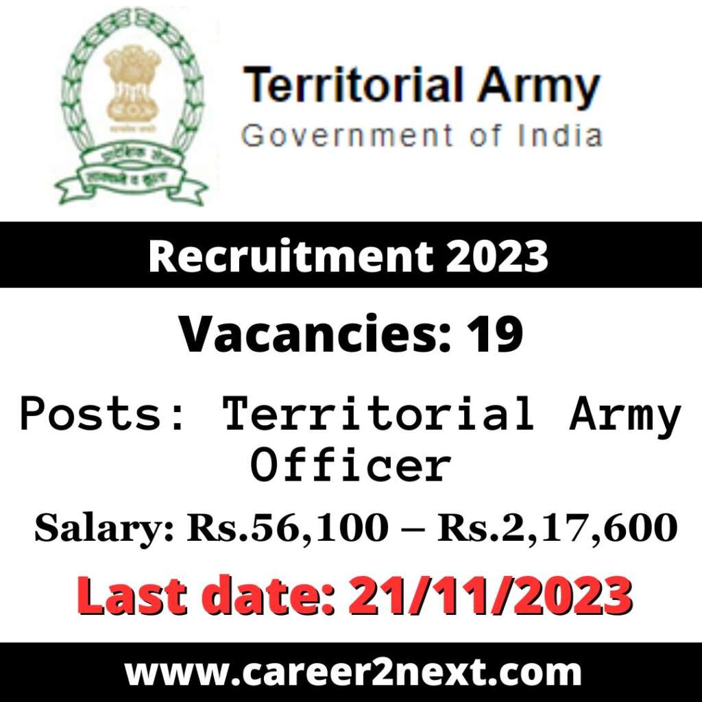 Territorial Army 驯服儿媳免费观看全集电视剧中文版 2023