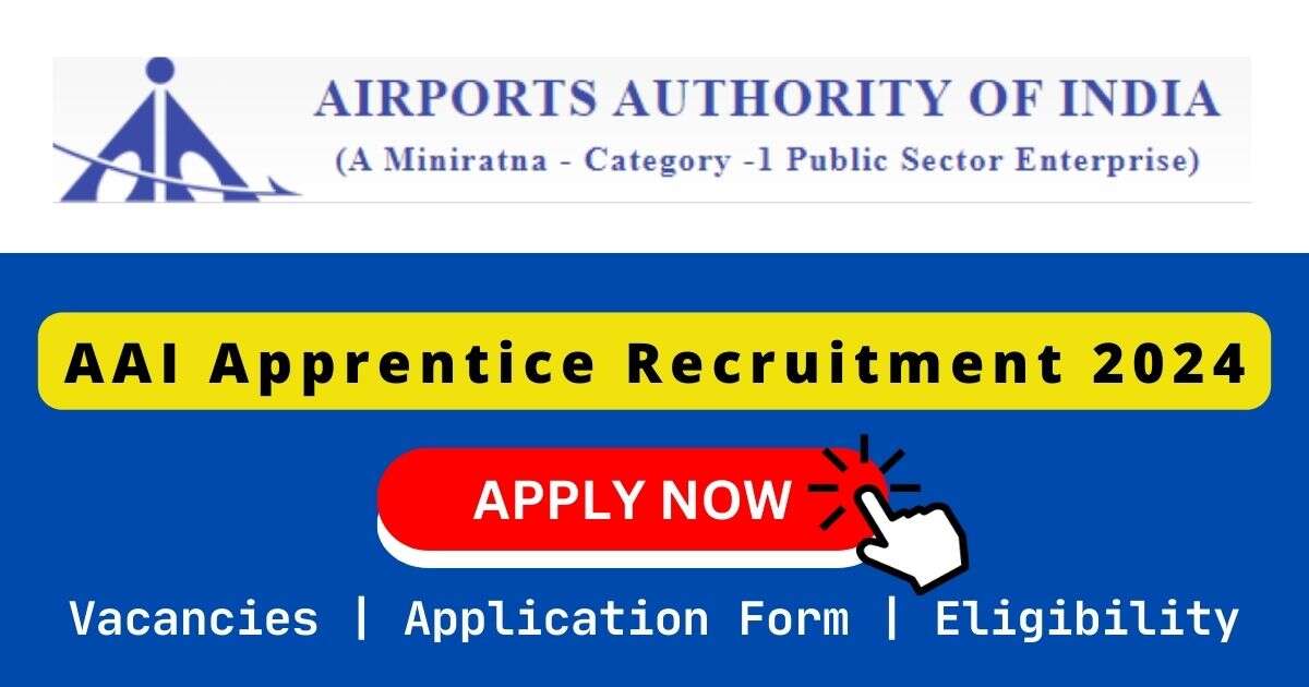 AAI Apprentice 迷妹网+在线 2024
