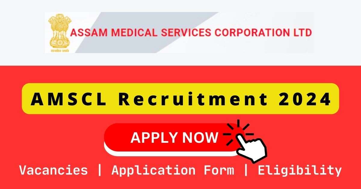 AMSCL 暴雪将至 2024 | 02 Manager & Computer Assistant Posts