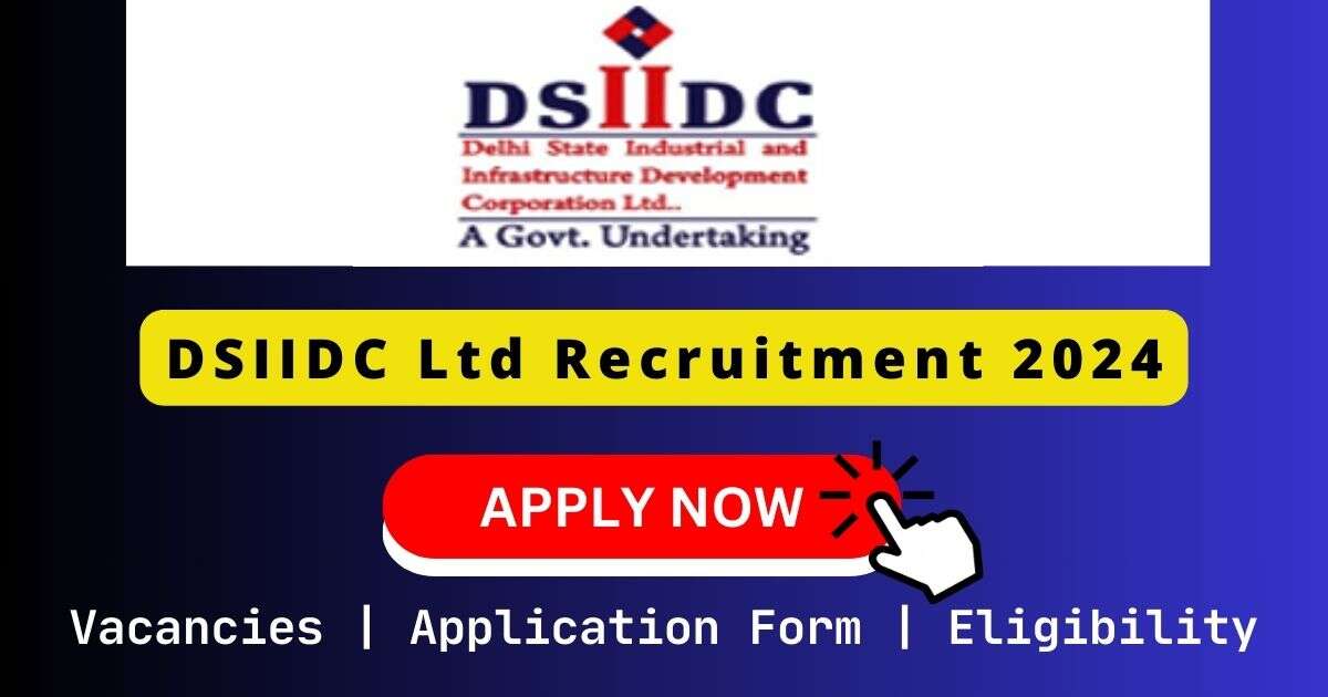 DSIIDC Ltd 暴雪将至 2024 | 10 Assistant Executive Engineer (Civil) & Elect Posts