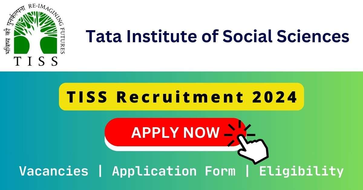 TISS 软糯小受趴着顶撞研磨h 2024 | 02 Office Assistant & p33c电影免费观看 Officer Posts